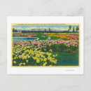 Search for municipal postcards County