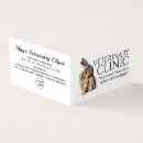 Recherche de rabbit cartes visite Vétérinaire