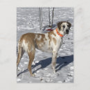 Recherche de clown triste cartes postales Harlequin