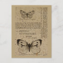 Search for antique butterfly illustration postcards Butterflies