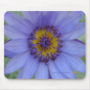 Search for water lilies mousepads Blue