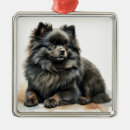 Recherche de pomeranian ornements Dog