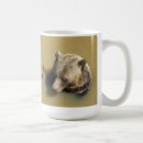 Search for grizzly bear mugs Nature