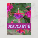 Recherche de fuschia vœux cartes Violet