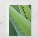 Recherche de agave vœux cartes Vert