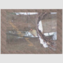 Search for bird tissue paper Cardinal