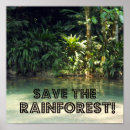 Search for rainforests posters Tropical