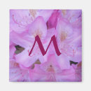Search for spring pink magnets Summer