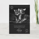 Search for please forgive me cards Apology