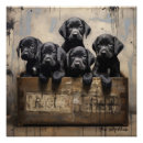 Recherche de labrador retriever posters Mignon