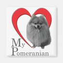 Search for pomeranian magnets Pets