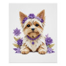 Search for yorkshire terrier posters Pet