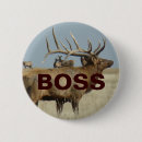 Search for elks buttons Hunting