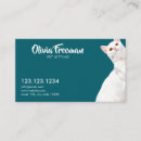 Recherche de chat blanc cartes visite Soins aux animaux