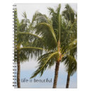 Search for palm tree photography Ocean