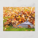 Search for raking postcards Fall