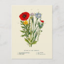 Search for vintage botanical print postcards Retro