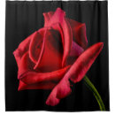 Search for red rose shower curtains Elegant
