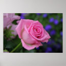 Recherche de blumen art Rose