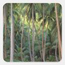 Search for south pacific stickers Tropical