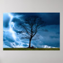 Search for lightning strikes posters Thunder