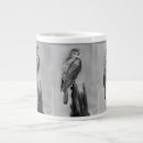 Search for birds of prey mugs Nature