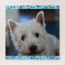 Search for westie puzzles Terrier