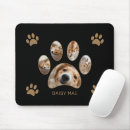 Search for cat paws mousepads Photo collage