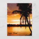 Search for orange tree postcards Sunset