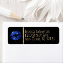 Search for lip return address labels Modern