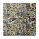Search for dog breeds tiles Dogs