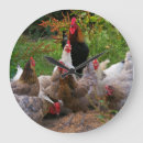 Recherche de funny chicken posters Rooster