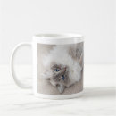 Recherche de beau chat tasses Bleu
