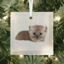 Search for pine marten Canada