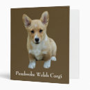 Search for pembroke welsh corgi binders Dog