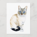 Search for blue point siamese cat postcards Cute