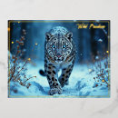 Recherche de snow leopard cartes postales Animal sauvage