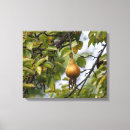 Search for pear canvas prints Food