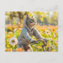 Search for hoodie postcards Nature