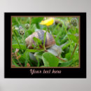 Search for snails posters Flower