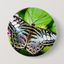 Search for butterfly pictures buttons Butterflies