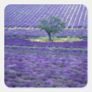 Search for provence stickers France