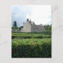 Search for maze postcards Plants