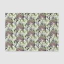 Search for ring tailed lemur gift wrap Animals