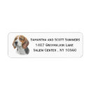 Search for beagle prints labels Watercolor