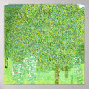 Search for under the tree posters Rosebushes