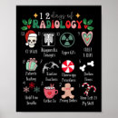 Search for 12 days of christmas posters Cats