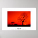Search for mood photography Landscape