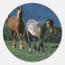Search for mustang stickers Equestrian