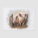 Search for pig tissue paper Cute